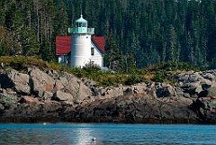 Maine's Little River Lighthouse